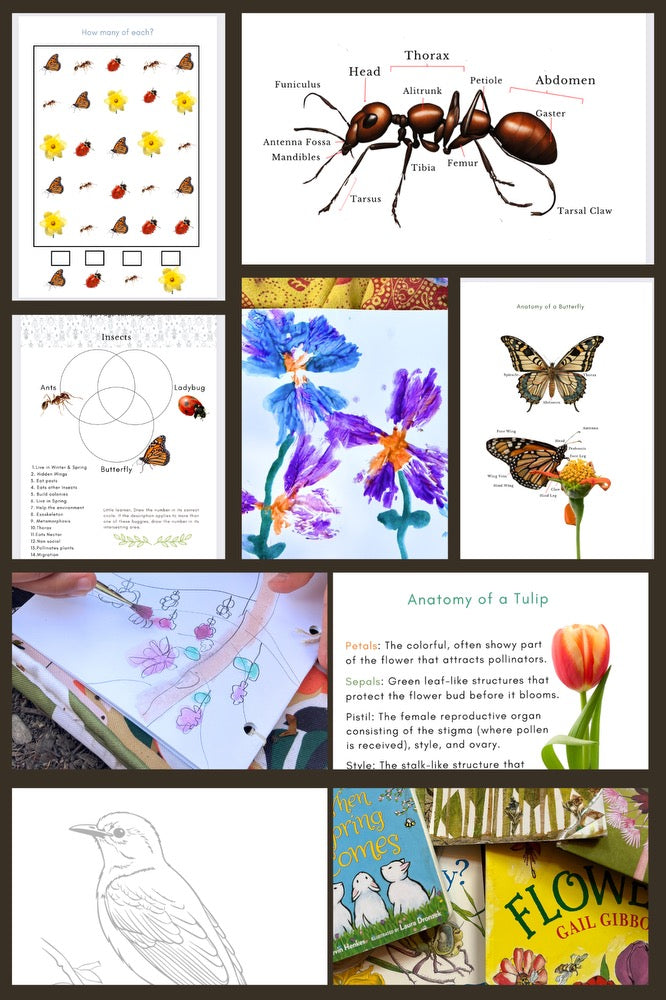 Joy of Spring (Activity and craft guide)