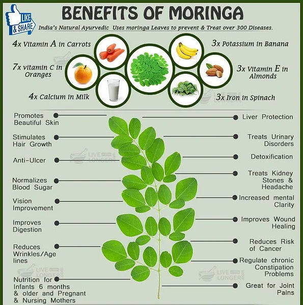 Moringa Powder