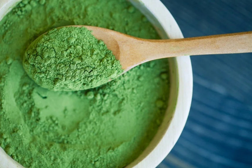 Moringa Powder